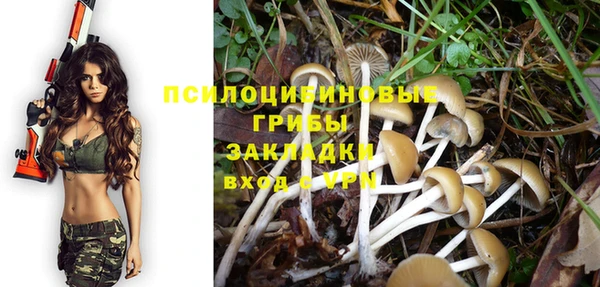 ГАЛЛЮЦИНОГЕННЫЕ ГРИБЫ Алексеевка
