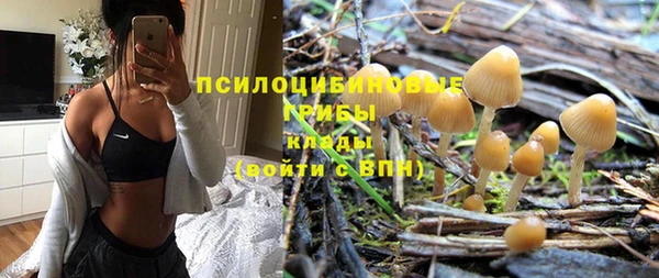 ГАЛЛЮЦИНОГЕННЫЕ ГРИБЫ Алексеевка